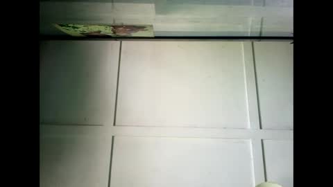 Snapshot of fucmebudoo chatting on December 23, 2:24 am Warwick online show from December 23, 2:24 am