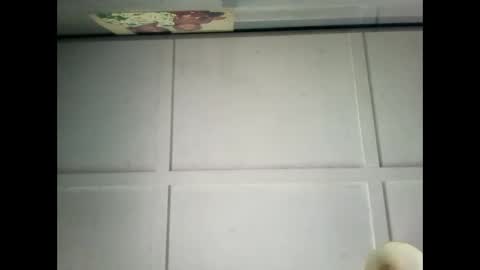 Snapshot of fucmebudoo chatting on December 29, 2:38 am Warwick online show from December 29, 2:38 am