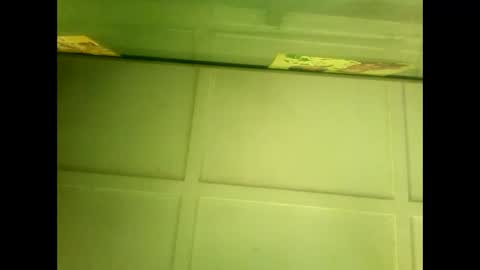 Snapshot of fucmebudoo chatting on January 7, 5:43 am Warwick online show from January 7, 5:43 am