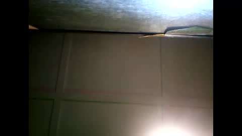 Snapshot of fucmebudoo chatting on January 11, 9:47 am Warwick online show from January 11, 9:47 am