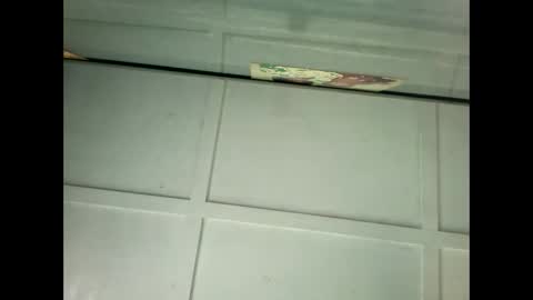 Snapshot of fucmebudoo chatting on January 18, 11:55 pm Warwick online show from January 18, 11:55 pm