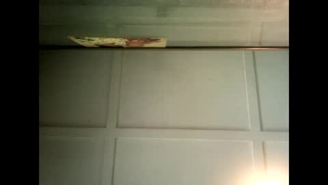 Snapshot of fucmebudoo chatting on January 31, 4:03 am Warwick online show from January 31, 4:03 am