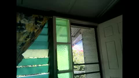 Snapshot of fucmebudoo chatting on February 17, 3:25 am Warwick online show from February 17, 3:25 am