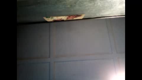 Snapshot of fucmebudoo chatting on February 22, 7:56 am Warwick online show from February 22, 7:56 am