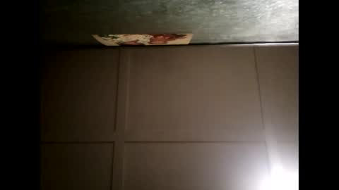 Snapshot of fucmebudoo chatting on February 28, 1:03 pm Warwick online show from February 28, 1:03 pm