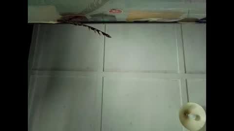 Snapshot of fucmebudoo chatting on October 4, 12:41 am Warwick online show from October 4, 12:41 am