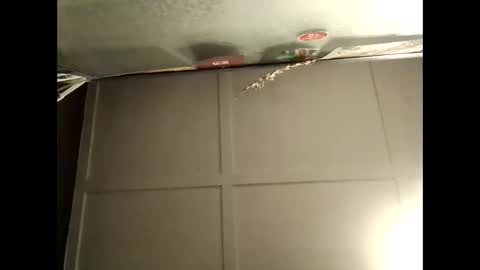 Snapshot of fucmebudoo chatting on October 10, 8:46 am Warwick online show from October 10, 8:46 am