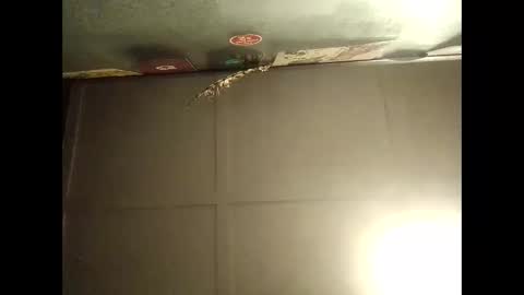 Snapshot of fucmebudoo chatting on October 11, 9:08 am Warwick online show from October 11, 9:08 am