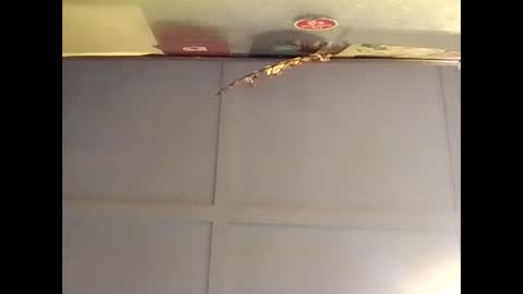 Snapshot of fucmebudoo chatting on October 16, 7:09 am Warwick online show from October 16, 7:09 am