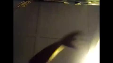 Snapshot of fucmebudoo chatting on October 28, 7:34 am Warwick online show from October 28, 7:34 am