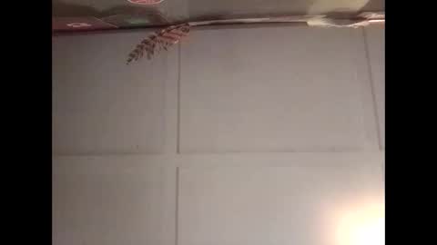 Snapshot of fucmebudoo chatting on October 30, 11:16 pm Warwick online show from October 30, 11:16 pm