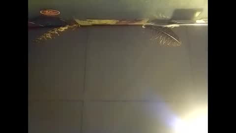 Snapshot of fucmebudoo chatting on November 2, 7:44 am Warwick online show from November 2, 7:44 am