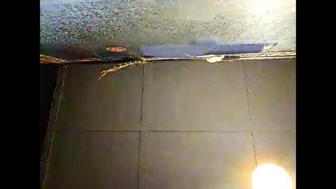 Snapshot of fucmebudoo chatting on November 30, 10:30 am Warwick online show from November 30, 10:30 am