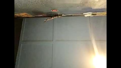 Snapshot of fucmebudoo chatting on December 1, 6:51 am Warwick online show from December 1, 6:51 am