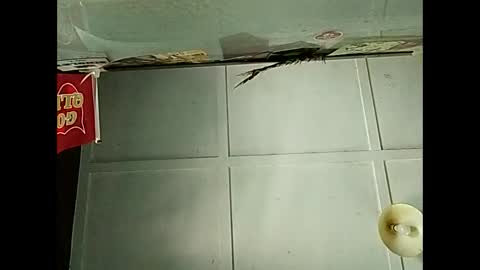 Snapshot of fucmebudoo chatting on December 3, 2:41 am Warwick online show from December 3, 2:41 am