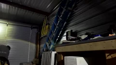 fun2bemade online show from November 2, 3:53 am