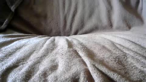 Snapshot of funguy4558 chatting on February 24, 6:58 pm BigLoadsJoe online show from February 24, 6:58 pm