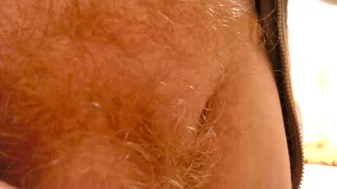 Snapshot of gae89tano chatting on February 12, 2:32 pm gae89tano online show from February 12, 2:32 pm