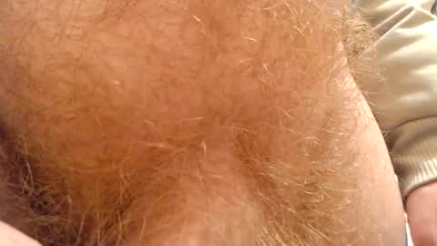 Snapshot of gae89tano chatting on February 13, 7:56 am gae89tano online show from February 13, 7:56 am