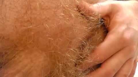 Snapshot of gae89tano chatting on February 19, 9:58 pm gae89tano online show from February 19, 9:58 pm