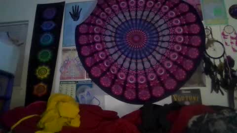 Gardenia online show from February 5, 8:08 am