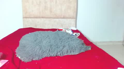 gatita13333321 online show from January 28, 6:05 am