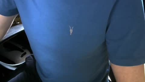 gay slave on cam online show from December 21, 10:22 am