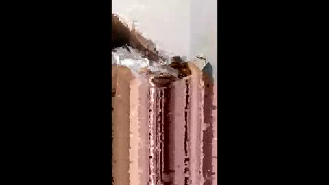 gemstar33184100 online show from April 9, 5:07 am