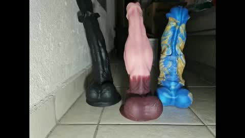 Snapshot of generalerectional chatting on November 10, 10:36 am generalerectional online show from November 10, 10:36 am