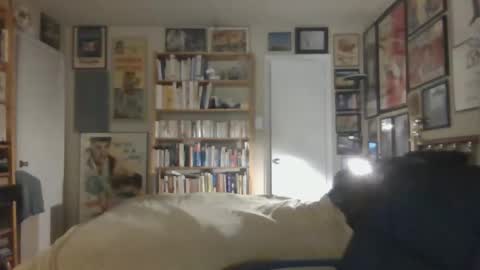 Snapshot of gentcallr chatting on November 26, 7:42 am Steve online show from November 26, 7:42 am