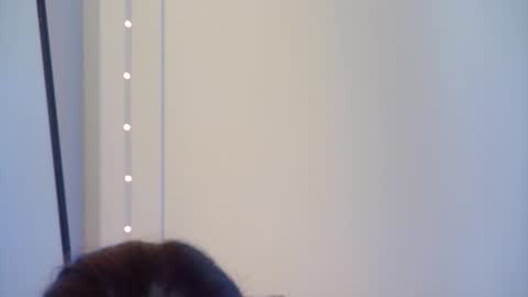 GentleRossi online show from October 1, 4:02 pm