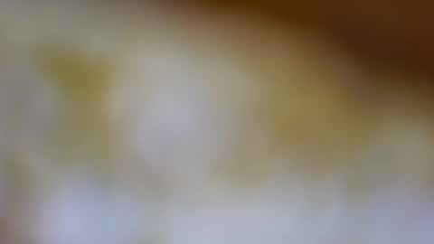 Snapshot of germanandy71 chatting on November 10, 9:19 am germanandy71 online show from November 10, 9:19 am