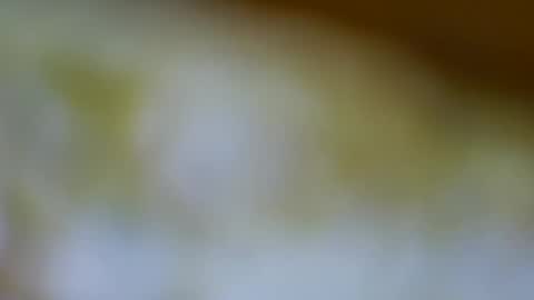 Snapshot of germanandy71 chatting on November 17, 12:00 pm germanandy71 online show from November 17, 12:00 pm