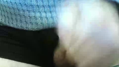Snapshot of germandaddydick1 chatting on June 4, 3:29 pm germandaddydick1 online show from June 4, 3:29 pm
