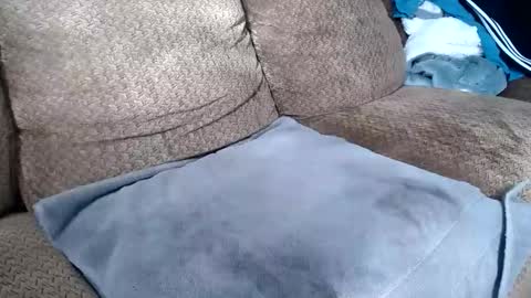 Snapshot of getiton64 chatting on February 7, 4:54 pm getiton64 online show from February 7, 4:54 pm