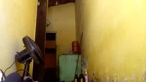 Gaby online show from April 9, 4:45 pm