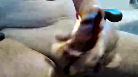 ghost1805 online show from November 10, 11:26 pm