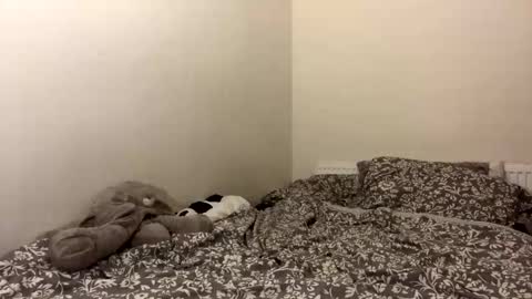 ghostpetal online show from October 12, 1:37 am