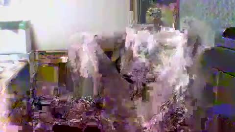 Snapshot of giann005 chatting on March 24, 3:28 pm giann005 online show from March 24, 3:28 pm