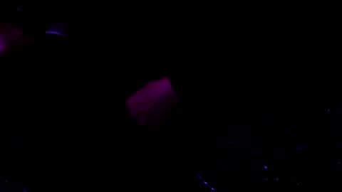 giftedbiker online show from January 9, 6:17 am