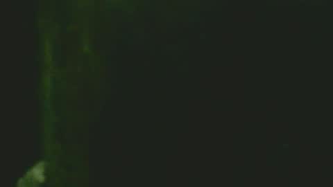 Snapshot of giovannyca chatting on November 24, 7:30 am GuidoGiovan online show from November 24, 7:30 am