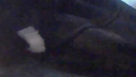 lovegirlscallme online show from October 10, 3:44 pm