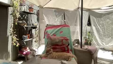 Gl1tter Barbie online show from November 22, 8:57 am