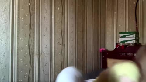 Hello My name is Ashley online show from March 22, 9:02 am