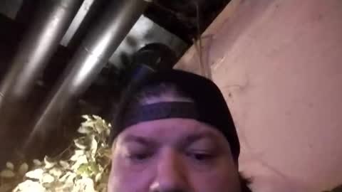 gleeguy online show from November 5, 6:57 am