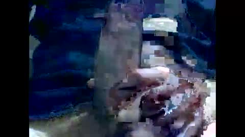 PencilDick online show from December 2, 8:30 am