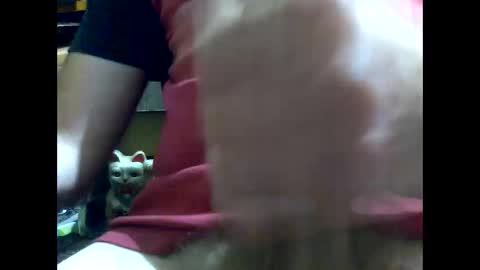 PencilDick online show from January 17, 8:45 am