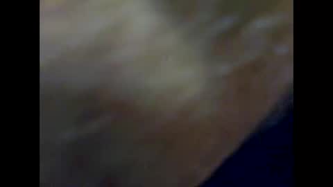 PencilDick online show from February 3, 8:30 am