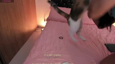 Snapshot of goddess_eli77 chatting on October 4, 2:53 am goddess_eli77 online show from October 4, 2:53 am