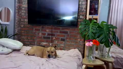 Snapshot of goddessjojo4u chatting on April 4, 1:15 am Goodess Jojo online show from April 4, 1:15 am